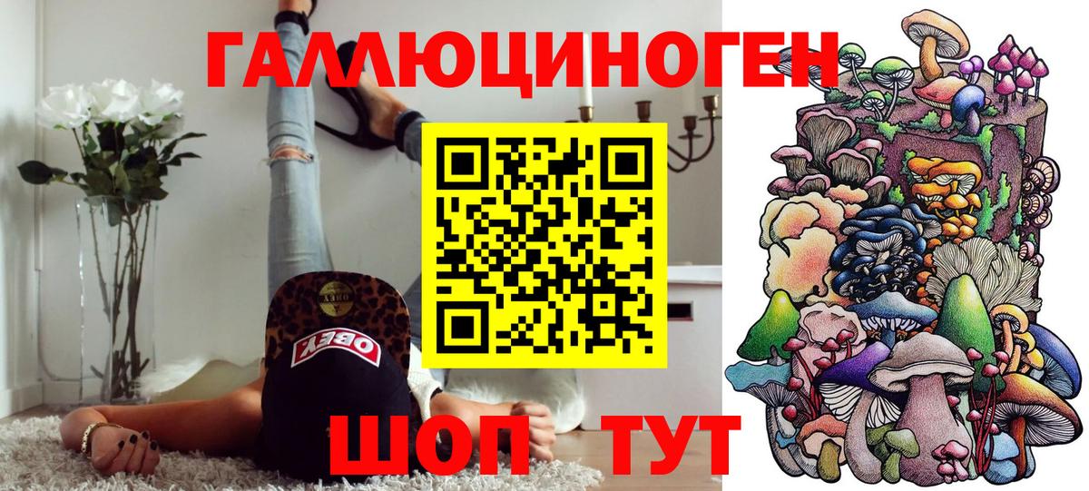 Галлюциногенные грибы прущие грибы Кирово-Чепецк
